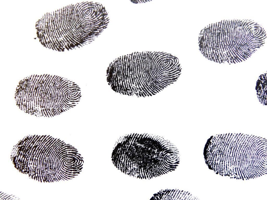 fingerprint, sense, template-456486.jpg